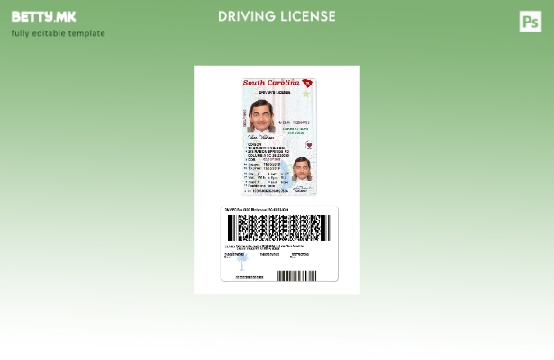 модерен стил САД Јужна Каролина под шаблон за возачка дозвола